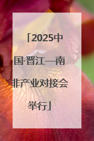 2025中国·晋江—南非产业对接会举行