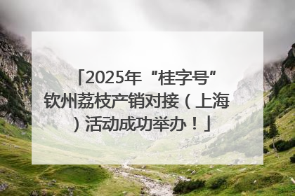 2025年“桂字号”钦州荔枝产销对接（上海）活动成功举办！