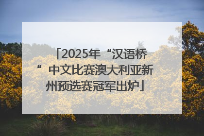 2025年“汉语桥”中文比赛澳大利亚新州预选赛冠军出炉