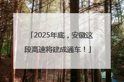 2025年底，安徽这段高速将建成通车！