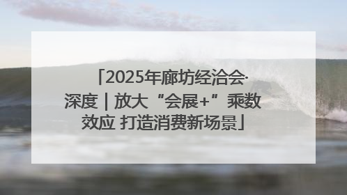 2025年廊坊经洽会·深度｜放大“会展+”乘数效应 打造消费新场景