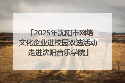 2025年沈阳市网络文化企业进校园双选活动走进沈阳音乐学院