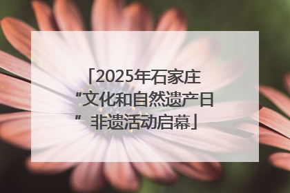 2025年石家庄“文化和自然遗产日”非遗活动启幕