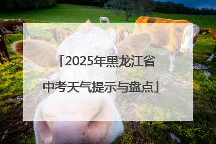 2025年黑龙江省中考天气提示与盘点