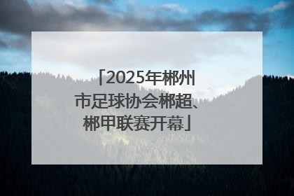 2025年郴州市足球协会郴超、郴甲联赛开幕