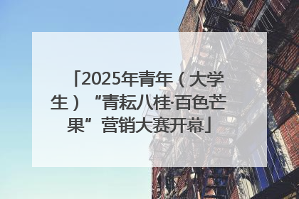 2025年青年（大学生）“青耘八桂·百色芒果”营销大赛开幕