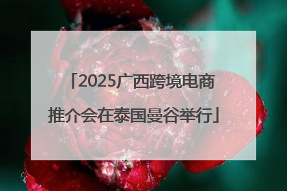 2025广西跨境电商推介会在泰国曼谷举行