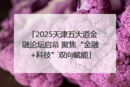 2025天津五大道金融论坛启幕 聚焦“金融+科技”双向赋能