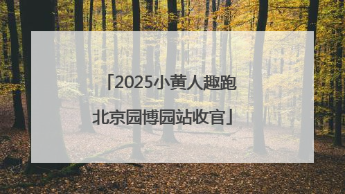 2025小黄人趣跑北京园博园站收官