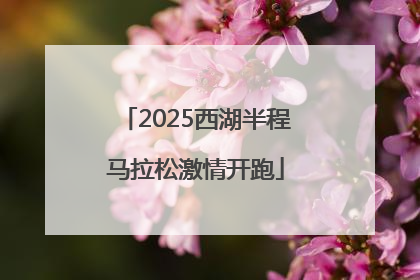 2025西湖半程马拉松激情开跑