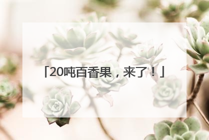 20吨百香果，来了！