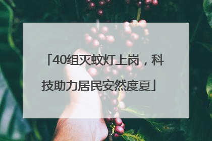 40组灭蚊灯上岗，科技助力居民安然度夏