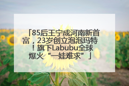 85后王宁成河南新首富，23岁创立泡泡玛特！旗下Labubu全球爆火“一娃难求”