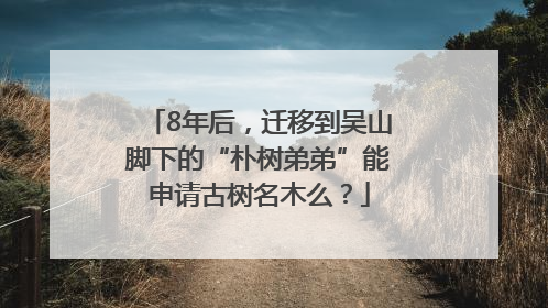 8年后，迁移到吴山脚下的“朴树弟弟”能申请古树名木么？