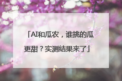 AI和瓜农，谁挑的瓜更甜？实测结果来了