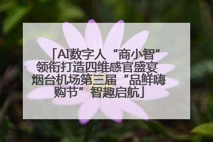 AI数字人“商小智”领衔打造四维感官盛宴 烟台机场第三届“品鲜嗨购节”智趣启航
