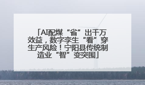 AI配煤“省”出千万效益，数字孪生“看”穿生产风险！宁阳县传统制造业“智”变突围