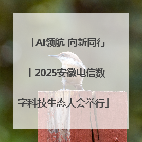 AI领航 向新同行丨2025安徽电信数字科技生态大会举行